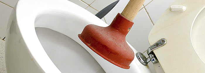 clogged toilet repair
