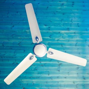 install-ceiling-fans Peterson Plumbing, Heating, Cooling & Drains 